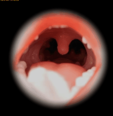 Irontech oral sex function GIF 1